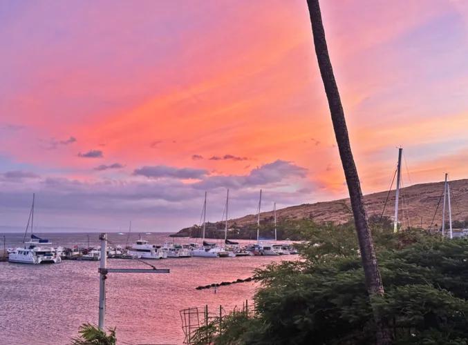 Photo of the Day: Ma‘alaea Harbor